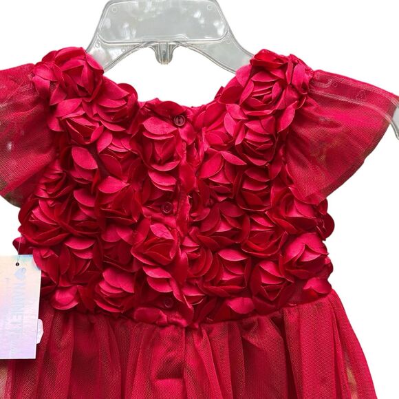 NEW Nanette Formal Party Dress Red Short Sleeve Rose Flower Princess Tulle‎ - 4T - Picture 7 of 14